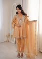 Zariya Mirror Work Designer Suit Set